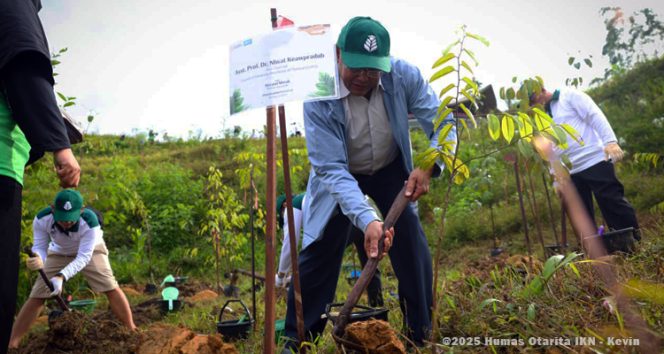 
 Asst. Prof. Dr. Niwat Keawpradub, Vice Chairman of the Council of University Presidents of Thailand (CUPT) menanam pohon meranti. (Foto Dok: Humas Otorita IKN)