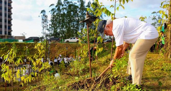 
 Kepala Otorita IKN, Basuki Hadimuljono, melakukan penanaman pohon di kawasan Embung C ASN 2, KIPP IKN, dalam rangka menyemarakkan perayaan HUT ke-80 Kemerdekaan Republik Indonesia. (Foto. Dok: Humas Otorita IKN)