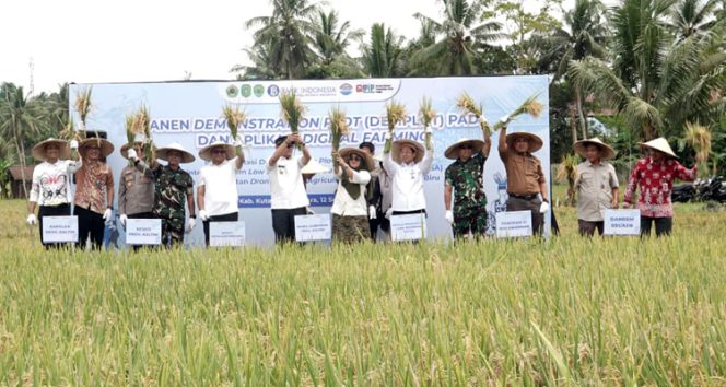 
 Bupati Kutai Kartanegara (Kukar) Aulia Rahman Basri bersama Wakil Gubernur Kalimantan Timur (Kaltim) H. Seno Aji menghadiri panen raya Demonstration Plot (Demplot) padi dengan sistem Low External Input Sustainable Agriculture (LEISA) dan penerapan Digital Farming melalui pemanfaatan drone sprayer agriculture, di klaster Gapoktan Bukit Biru, Kecamatan Tenggarong, Jumat (12/9/2025). (Foto Dok: Rafli RPK)