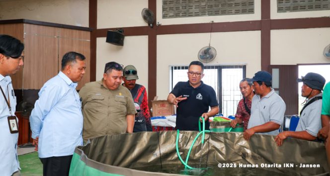 
 Sejumlah 28 peserta pelatihan diajak mengenali sekaligus mengikuti pelatihan budidaya ikan air tawar yang dilaksanakan oleh Otorita IKN di BPU Sepaku, Kamis (16/10/2025). Nantinya, para peserta akan mendapatkan fasilitas lengkap untuk memulai kegiatan budidaya ikan air tawar berupa lele, mulai dari benih ikan, pakan ikan, pompa, hingga kolam berukuran sedang dan besar.