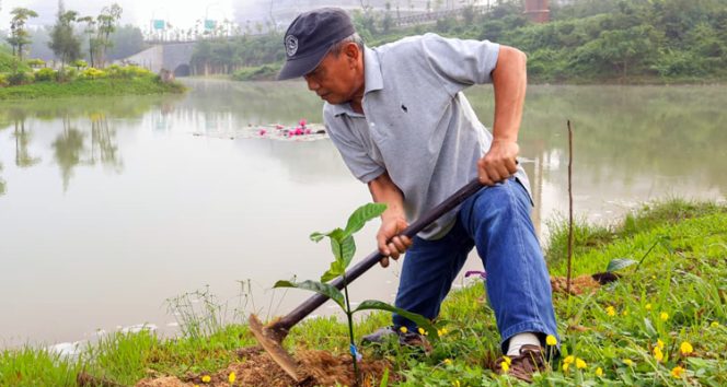
 Otorita IKN, Dinas Perkebunan Kalimantan Timur, Petani, serta Mitra IKN melakukan penanaman dan webinar kopi liberika di Embung MBH dilanjutkan webinar di Kemenko 3 KIPP IKN pada Rabu (01/10/2025).