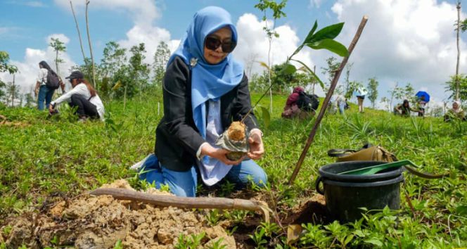 
 Bersama Deputi Lingkungan Hidup dan Sumber Daya Alam Otorita IKN, Myrna Asnawati Safitri, Perhimpunan Ahli Teknologi Pangan Indonesia (PATPI) lakukan penanam kopi liberika di Embung MBH, Kawasan Inti Pusat Pemerintahan (KIPP) Ibu Kota Nusantara.