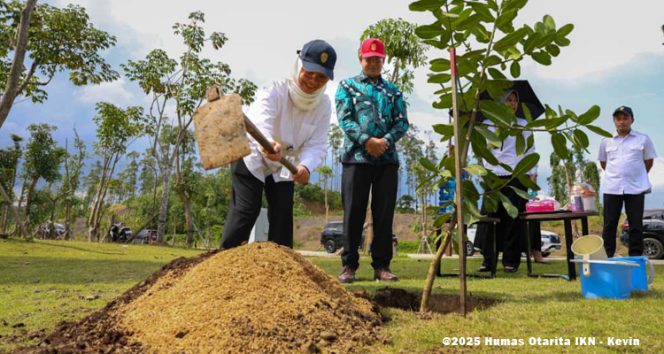 
 Otorita IKN menyambut kunjungan kehormatan dari Duta Besar Bangladesh untuk Indonesia dalam rangka meninjau perkembangan pembangunan IKN terutama rencana pembangunan Diplomatic Compound di wilayah KIPP IKN dan sekaligus melakukan penanaman pohon, pada Rabu (01/10/2025).