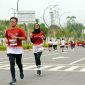 ikn08a