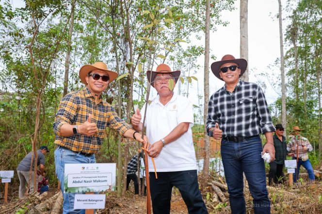 
 Dilaksanakan di Wanagama IKN, Nusantara, pada Kamis (20/11/2025), pelepasliaran rusa sambar dan peluncuran program eco-edu forest menandai bukti komitmen multi-stakeholder dalam pembangunan IKN menjadi kota hutan yang berkelanjutan.