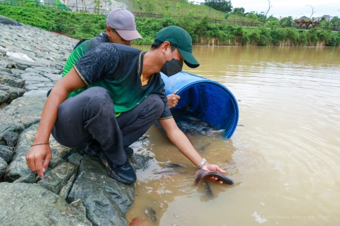 
 Diawali dengan tebar ikan konsumsi sebanyak 1,5 kuintal di Embung E, Otorita Ibu Kota Nusantara (IKN) ajak masyarakat, termasuk anak-anak Pesantren Hidayatullah di Nusantara, peringati hari ikan sedunia, Jumat (21/11/2025).