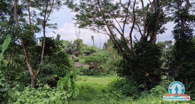 
 Tampak kondisi Bukit Perkemahan Waduk Panji Sukarame, Tenggarong, yang selama ini menjadi lokasi kegiatan Pramuka di Kabupaten Kutai Kartanegara (Kukar). Area tersebut kini dinilai memprihatinkan dan rencananya akan direhabilitasi oleh Dispora Kukar.