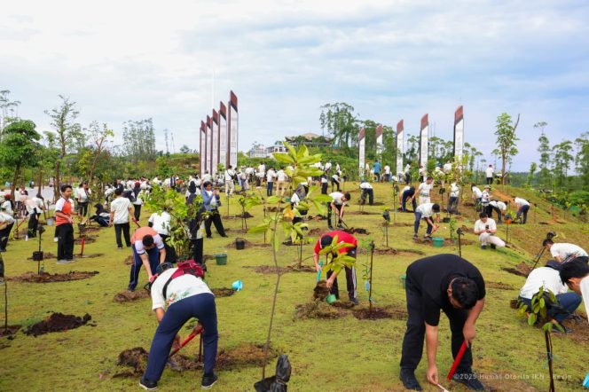 
 Ratusan insan Otorita IKN bersama masyarakat umum melakukan penanaman pohon sebanyak 750 bibit di Plaza Bhinneka, KIPP Nusantara, pada Jumat (19/12/2025). (Pic. Humas Otorita IKN)