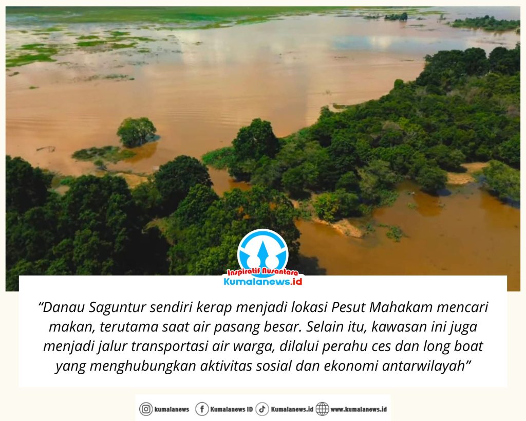 Neutral Tones Fashion Photo Collage 19