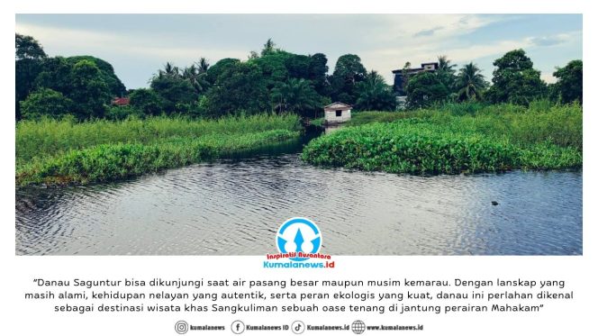 
 Lanskap Danau Saguntur di Desa Sangkuliman, Kecamatan Kota Bangun, Kabupaten Kutai Kartanegara. Bagi masyarakat setempat, danau ini bukan sekadar bentang alam, melainkan ruang hidup yang menyatu dengan keseharian nelayan yang menggantungkan penghidupan dari kekayaan biota air tawar di dalamnya. Dok: Rojali – Pokdarwis BMT Sangkuliman.