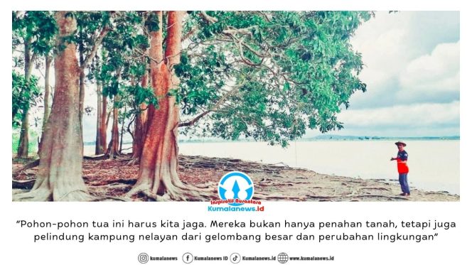 
 Foto lanskap pohon tua yang tumbuh kokoh di tepian Danau Saguntur, bukan sekadar peneduh, melainkan penjaga keseimbangan alam. Dok: Rojali – Pokdarwis BMT Sangkuliman.