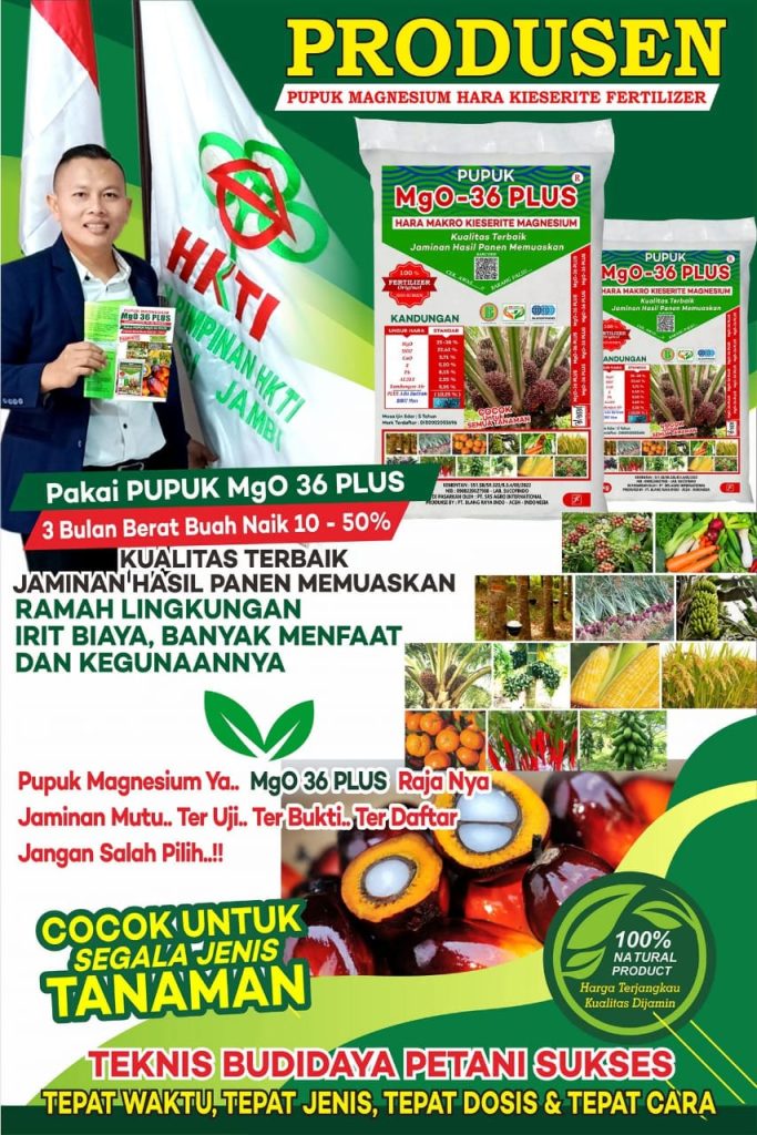 WhatsApp Image 2026 02 22 at 18.16.42 1