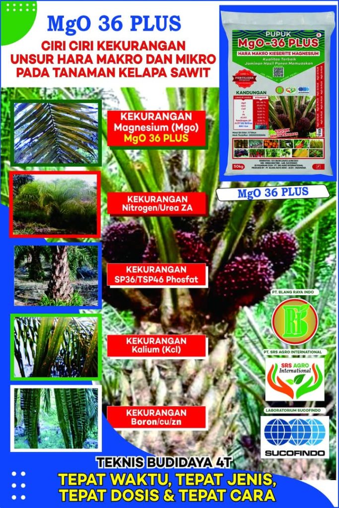 WhatsApp Image 2026 02 22 at 18.16.42