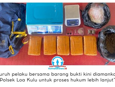 Barang bukti narkotika jenis ganja yang berhasil diamankan jajaran Polsek Loa Kulu dalam pengungkapan kasus peredaran narkoba di wilayah Kutai Kartanegara hingga Samarinda. Ganja tersebut disita dari empat orang pelaku yang telah diamankan untuk proses hukum lebih lanjut. Dok. Polsek Loa Kulu.