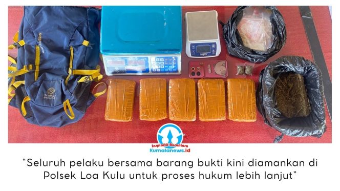 
 Barang bukti narkotika jenis ganja yang berhasil diamankan jajaran Polsek Loa Kulu dalam pengungkapan kasus peredaran narkoba di wilayah Kutai Kartanegara hingga Samarinda. Ganja tersebut disita dari empat orang pelaku yang telah diamankan untuk proses hukum lebih lanjut. Dok. Polsek Loa Kulu.