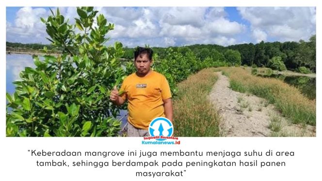 
 Penggerak swadaya masyarakat Desa Muara Badak Ilir, Ramlan, menunjukkan tanaman mangrove yang ia tanam yang kini tumbuh subur dan berkembang. Mangrove memiliki peran penting dalam melindungi kawasan pesisir serta menunjang keberlangsungan hidup para petambak. Dok: Ramlan.