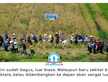 Panen perdana Padi Gogo sukses digelar di demplot Pertanian Konservasi Kelompok Tani Mekar Jaya, Muara Jawa, Kabupaten Kutai Kartanegara, Kamis (9/4/2026). Dok: Humas Otorita Ibu Kota Nusantara.