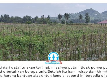 Suasana kebun sayur yang dikelola petani di Kelurahan Bukit Biru, Kecamatan Tenggarong, Kutai Kartanegara, mulai tampak mengering akibat kemarau. Foto: Akmal Hafidz Krisnowo.