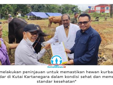 Bupati Kutai Kartanegara (Kukar), Aulia Rahman Basri melakukan monitoring kesehatan hewan kurban menjelang Hari Raya Iduladha 1447 Hijriah di kawasan Jalan Lais, Kelurahan Timbau, Kecamatan Tenggarong, Senin (25/5/2026). Foto: Akmal Hafidz Krisnowo.