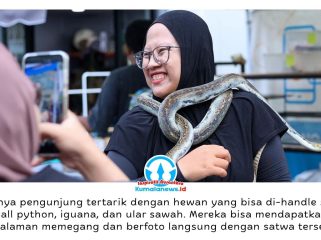 Pameran reptil memeriahkan momen libur Hari Kenaikan Yesus Kristus di Nusantara Park sebagai sarana edukasi masyarakat mengenai berbagai jenis satwa reptil dan mamalia eksotis, Sabtu–Minggu (16–17/05/2026). Dok: Humas Otorita Ibu Kota Nusantara.