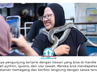 Pameran reptil memeriahkan momen libur Hari Kenaikan Yesus Kristus di Nusantara Park sebagai sarana edukasi masyarakat mengenai berbagai jenis satwa reptil dan mamalia eksotis, Sabtu–Minggu (16–17/05/2026). Dok: Humas Otorita Ibu Kota Nusantara.