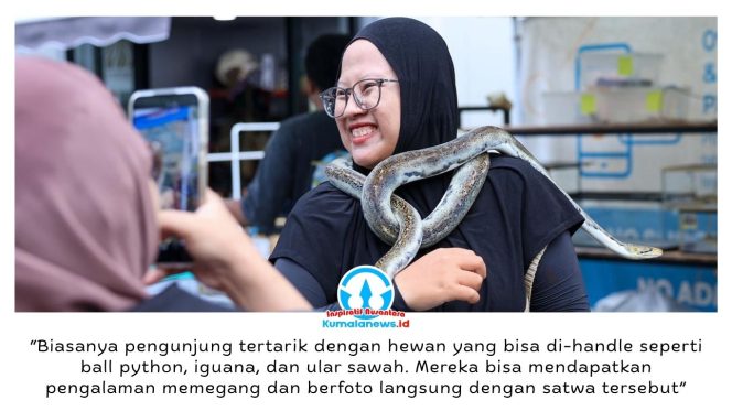 
 Pameran reptil memeriahkan momen libur Hari Kenaikan Yesus Kristus di Nusantara Park sebagai sarana edukasi masyarakat mengenai berbagai jenis satwa reptil dan mamalia eksotis, Sabtu–Minggu (16–17/05/2026). Dok: Humas Otorita Ibu Kota Nusantara.