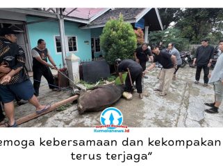 Suasana kebersamaan mewarnai pelaksanaan penyembelihan hewan kurban di Sekretariat PWI Kutai Kartanegara, Jalan Lais, Kelurahan Timbau, Kecamatan Tenggarong, Rabu (27/5/2026). Foto: Dok. PWI Kutai Kartanegara.