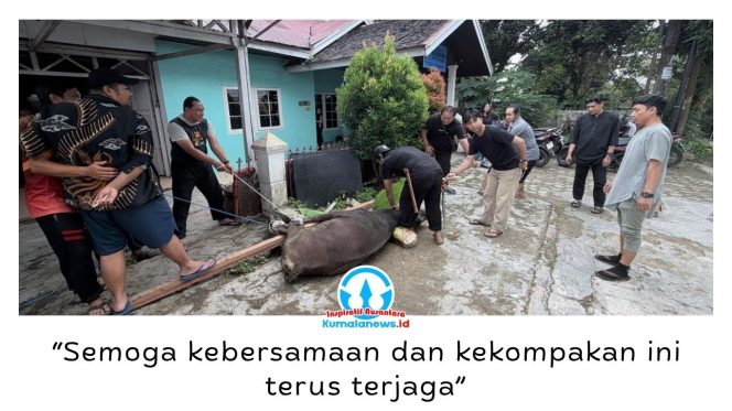 
 Suasana kebersamaan mewarnai pelaksanaan penyembelihan hewan kurban di Sekretariat PWI Kutai Kartanegara, Jalan Lais, Kelurahan Timbau, Kecamatan Tenggarong, Rabu (27/5/2026). Foto: Dok. PWI Kutai Kartanegara.