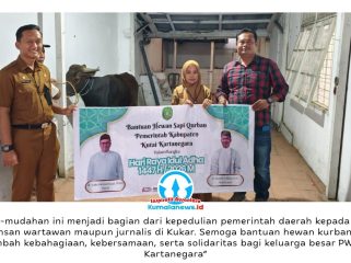 Kepala Bagian Kesejahteraan Rakyat (Kabag Kesra) Pemkab Kutai Kartanegara, Fathul Alamin, menyerahkan bantuan satu ekor sapi kurban dari Pemerintah Kabupaten Kutai Kartanegara kepada Persatuan Wartawan Indonesia (PWI) Kukar menjelang Hari Raya Iduladha 1447 Hijriah. Bantuan tersebut diterima langsung oleh Ketua PWI Kukar, Andi Wibowo, di Sekretariat PWI Kukar, Tenggarong. Foto: Dok. PWI Kutai Kartanegara.