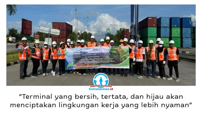 
 PT Kaltim Kariangau Terminal (KKT) menanam 200 bibit pucuk merah di kawasan Container Yard (CY) Terminal Kariangau, Balikpapan, Selasa (30/6/2026). Program ini menjadi bagian dari pembangunan koridor hijau sepanjang 800 meter guna mendukung operasional terminal yang ramah lingkungan dan berkelanjutan. Foto: M Hilmansyah.