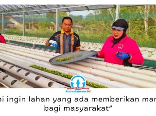 Kapolsek Loa Kulu bersama Bhayangkari Ranting Loa Kulu menanam 832 bibit selada hidroponik di Green House Bhayangkari sebagai wujud dukungan terhadap program ketahanan pangan nasional, Senin (22/6/2026). Foto: Dok. Polsek Loa Kulu.