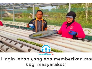 Kapolsek Loa Kulu bersama Bhayangkari Ranting Loa Kulu menanam 832 bibit selada hidroponik di Green House Bhayangkari sebagai wujud dukungan terhadap program ketahanan pangan nasional, Senin (22/6/2026). Foto: Dok. Polsek Loa Kulu.