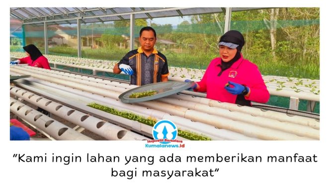 
 Kapolsek Loa Kulu bersama Bhayangkari Ranting Loa Kulu menanam 832 bibit selada hidroponik di Green House Bhayangkari sebagai wujud dukungan terhadap program ketahanan pangan nasional, Senin (22/6/2026). Foto: Dok. Polsek Loa Kulu.