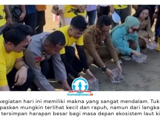 Wali Kota Balikpapan, Dr. H. Rahmad Mas’ud, S.E., M.E., melepas 80 tukik penyu lekang ke habitat alaminya di Pantai Damba Enggang Borneo (DEB), Jalan Jenderal Sudirman, Balikpapan, Senin (8/6/2026), dalam rangka memperingati Hari Lingkungan Hidup Sedunia. Kegiatan ini turut dihadiri Ketua TP PKK Kota Balikpapan Nurlena Rahmad Mas’ud, Kepala Disparpora Ratih Kusuma, Ketua HIPMI Balikpapan Adam Dustin Bhakti, serta pegiat lingkungan. Foto: M. Hilmansyah.