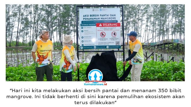 
 Otorita IKN bersama pemerintah daerah, dunia usaha, dan masyarakat melaksanakan Aksi Bersih Pantai serta Penanaman Mangrove di Pantai Tanah Merah, Kelurahan Tanjung Harapan, Kecamatan Samboja, Sabtu (13/6/2026). Kegiatan ini merupakan bagian dari upaya pelestarian ekosistem pesisir dan pengendalian perubahan iklim. Foto: Humas Otorita IKN.
