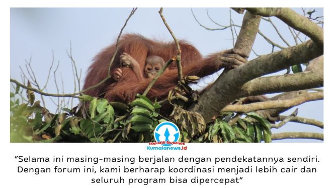 
 Induk orangutan bersama anaknya di atas pohon dekat area pertambangan. Upaya pelestarian orangutan di Kalimantan Timur diperkuat melalui kolaborasi pemerintah, akademisi, lembaga konservasi, dan perusahaan dalam Forum Konservasi Orangutan Terpadu Lanskap Keraitan. Foto: Dok. Conservation Action Network (CAN).