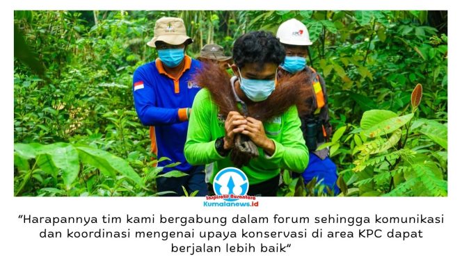 
 Tim penyelamat orangutan tengah melakukan proses pelepasliaran. Komitmen pelestarian habitat orangutan di Kalimantan Timur diperkuat melalui kolaborasi berbagai pihak, termasuk dukungan PT Kaltim Prima Coal (KPC) dalam Forum Konservasi Orangutan Terpadu Lanskap Keraitan. Foto: Dok. Conservation Action Network (CAN).