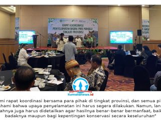 Suasana Rapat Koordinasi Penyelamatan Badak Pari Mahulu Tingkat Provinsi di Balikpapan, Senin (8/6/2026), yang menjadi langkah strategis memperkuat kolaborasi lintas sektor untuk mencegah kepunahan Badak Kalimantan (Dicerorhinus sumatrensis harrissoni), subspesies yang kini hanya tersisa dua individu betina di Kalimantan.