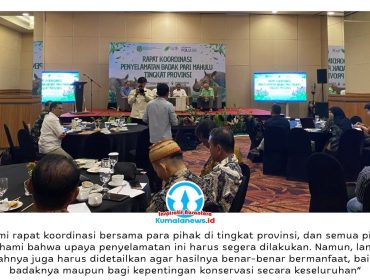 Suasana Rapat Koordinasi Penyelamatan Badak Pari Mahulu Tingkat Provinsi di Balikpapan, Senin (8/6/2026), yang menjadi langkah strategis memperkuat kolaborasi lintas sektor untuk mencegah kepunahan Badak Kalimantan (Dicerorhinus sumatrensis harrissoni), subspesies yang kini hanya tersisa dua individu betina di Kalimantan.