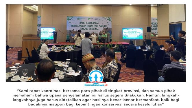 
 Suasana Rapat Koordinasi Penyelamatan Badak Pari Mahulu Tingkat Provinsi di Balikpapan, Senin (8/6/2026), yang menjadi langkah strategis memperkuat kolaborasi lintas sektor untuk mencegah kepunahan Badak Kalimantan (Dicerorhinus sumatrensis harrissoni), subspesies yang kini hanya tersisa dua individu betina di Kalimantan.