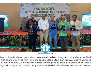 Pemberian cenderamata kepada peserta Rapat Koordinasi Penyelamatan Badak Pari Mahulu Tingkat Provinsi yang digelar Balai Konservasi Sumber Daya Alam (BKSDA) Kalimantan Timur di Balikpapan, Senin (8/6/2026). Kegiatan tersebut menjadi momentum penyatuan komitmen berbagai pihak untuk mendukung proses translokasi Badak Pari Mahulu sebagai upaya penyelamatan spesies langka yang terancam punah.