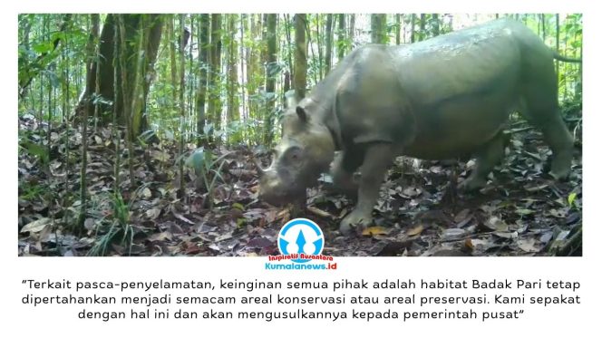 
 Camera trap yang dipasang BKSDA Kalimantan Timur dan Aliansi Lestari Rimba Terpadu (Alert) merekam kemunculan Badak Pari Mahulu di habitat alaminya di alam liar sebagai bagian dari upaya pemantauan dan konservasi satwa langka tersebut.