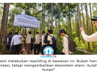 Pembangunan Ibu Kota Nusantara (IKN) mengusung konsep Forest City dengan memadukan pembangunan infrastruktur dan pemulihan ekosistem, sebagai upaya mewujudkan ibu kota yang modern, hijau, dan berkelanjutan. Foto: Humas Otorita IKN.
