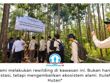Pembangunan Ibu Kota Nusantara (IKN) mengusung konsep Forest City dengan memadukan pembangunan infrastruktur dan pemulihan ekosistem, sebagai upaya mewujudkan ibu kota yang modern, hijau, dan berkelanjutan. Foto: Humas Otorita IKN.