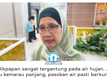 Kepala DKP3 Kota Balikpapan, Sri Wahjuningsih, mengatakan kemarau panjang berpengaruh langsung terhadap aktivitas pertanian karena sebagian besar sistem pertanian di Balikpapan masih mengandalkan curah hujan. Foto: M Hilmansyah.