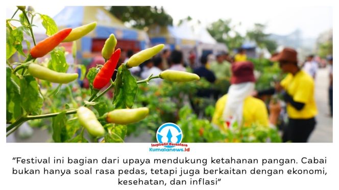 
 Festival Cabai Nusantara 2026 Hadir Di IKN, Dorong Ketahanan Pangan Dan Ekonomi Lokal