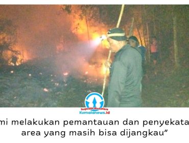 Kebakaran melanda areal eks HGU PTPN 13 Tanjung Santan di Desa Bunga Putih, Marangkayu, Kukar. Api membakar kawasan hutan bambu, semak belukar, dan rawa gambut dengan luasan diperkirakan mencapai 150 hektare.