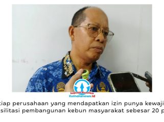 Sekretaris Disbun Kukar, Samsiar, menegaskan perusahaan perkebunan pemegang IUP wajib memfasilitasi pembangunan kebun masyarakat seluas 20 persen dari luas IUP sebagai bentuk pemberdayaan masyarakat sekitar. Foto: Indirwan.