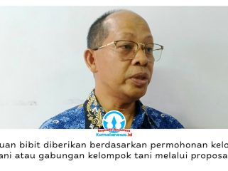 Sekretaris Disbun Kukar, Samsiar, mengatakan bantuan bibit diberikan berdasarkan proposal kelompok tani yang terlebih dahulu diverifikasi sebelum direalisasikan. Foto: Indirwan.