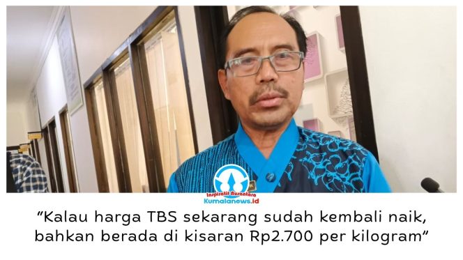 
 Kepala Disbun Kukar, Muhammad Taufik, menyebut harga TBS kelapa sawit kembali menguat hingga sekitar Rp2.700 per kilogram, sehingga diharapkan dapat menjaga pendapatan petani di tengah dinamika pasar. Foto: Indirwan.